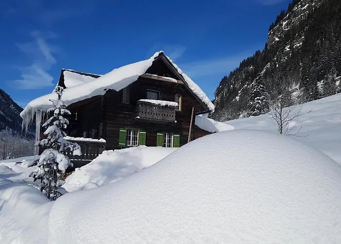 Chalet Weisse Wand Almen Schladming