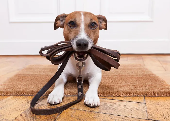 Weisse Wand Almen * Schladming